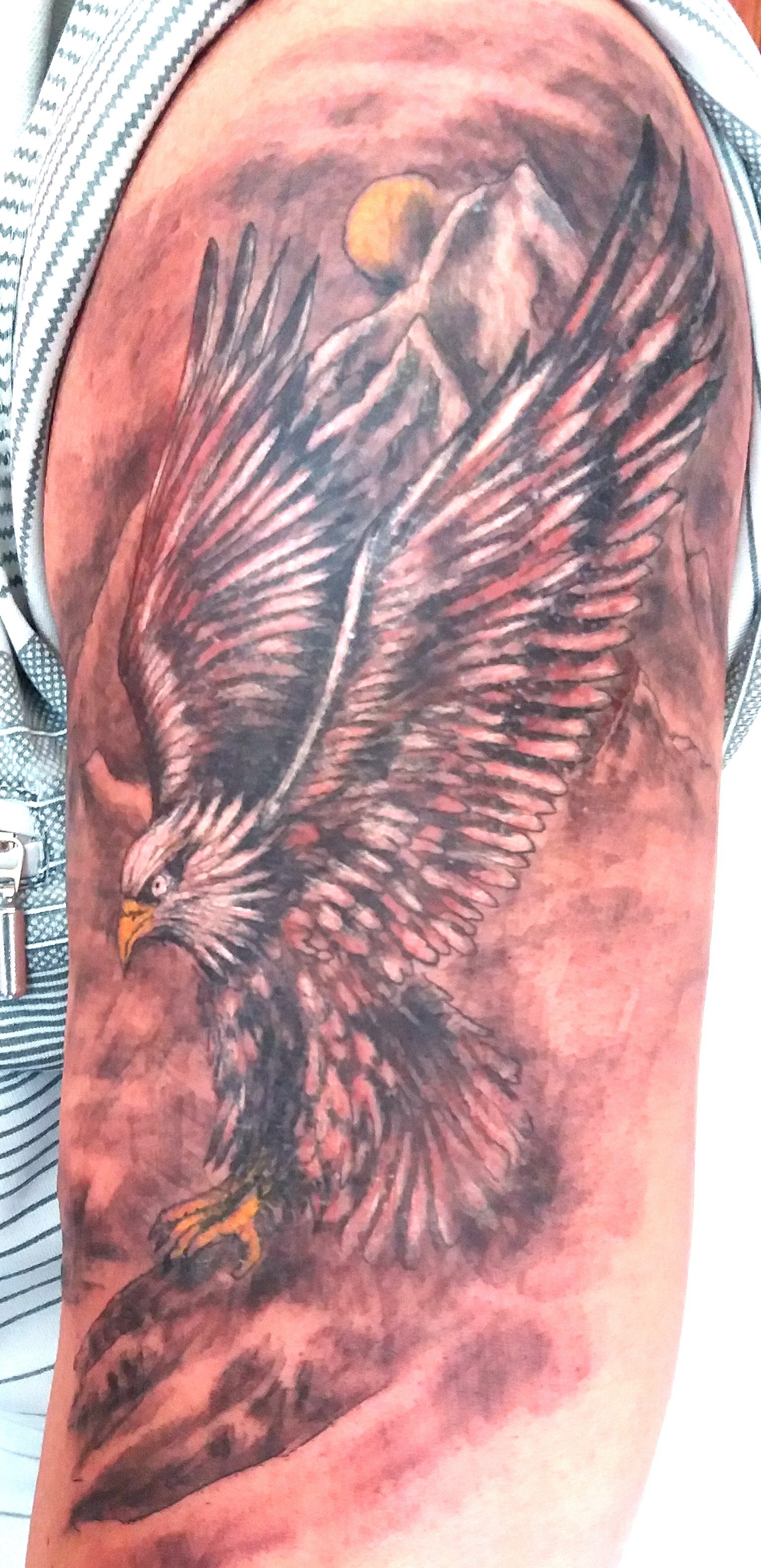 Majestätischer Weißkopfseeadler Realismus Tattoo Recklinghausen STUDIO 45